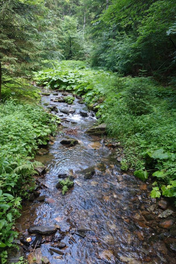 Penzion Chata Na Mlyne Horni Mesto Экстерьер фото