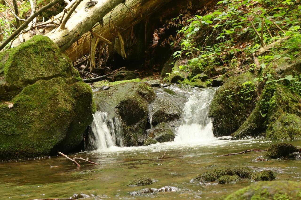 Penzion Chata Na Mlyne Horni Mesto Экстерьер фото